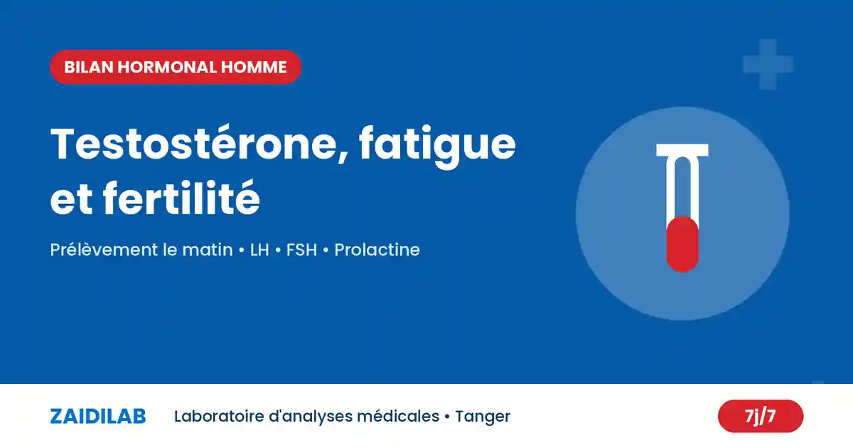 Testostérone : bilan hormonal de l’homme, fatigue et fertilité – ZaidiLab Tanger